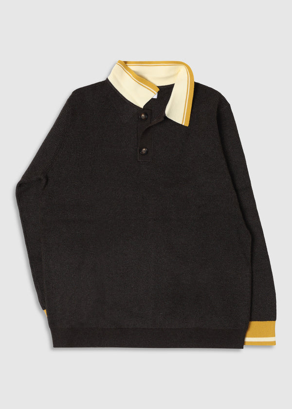 Waffle Knit Long-Sleeve Polo