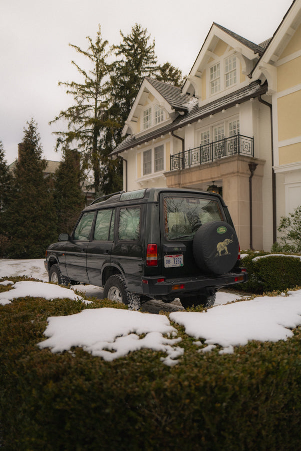 1996 Land Rover Discovery 1 4.0L V8